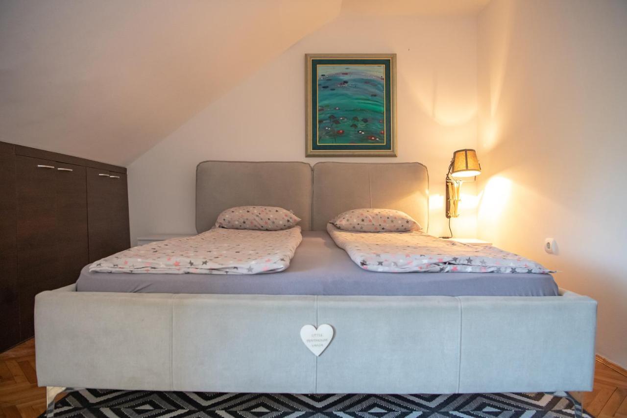 Marina Penthouse Apartment Novi Sad Exterior foto